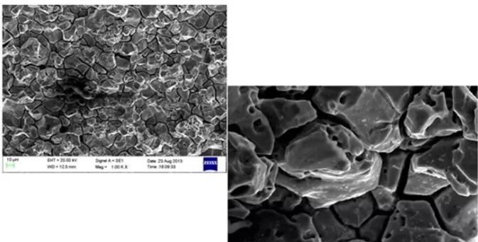 桂林桂林蔡司桂林扫描电镜 桂林桂林蔡司桂林扫描电镜